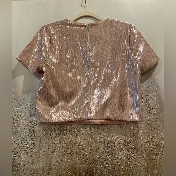 Michael Kors Sparkling Sequins Over Pink Zebra Print Sequin Crop Top - Size M - Picture 6 of 15